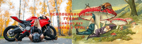 ГАЛЛЮЦИНОГЕННЫЕ ГРИБЫ Нязепетровск