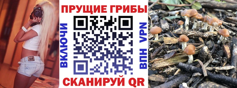 Галлюциногенные грибы прущие грибы  маркетплейс формула  Стрежевой 